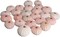 Sea Urchin Pink Sea Urchin Shells 1-2in (25 pk) Pink Sea Urchins for Craft and Decor
